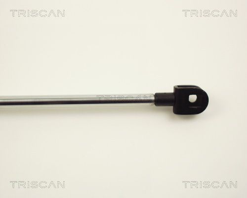Dujinė spyruoklė, bagažinė TRISCAN 8710 13227