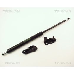 Dujinė spyruoklė, bagažinė TRISCAN 8710 13264