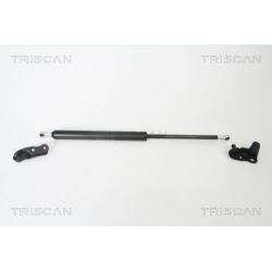 Dujinė spyruoklė, bagažinė TRISCAN 8710 13265
