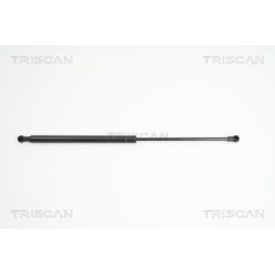 Dujinė spyruoklė, bagažinė TRISCAN 8710 13273