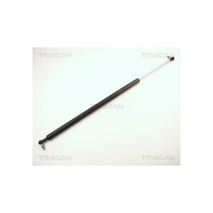 Dujinė spyruoklė, bagažinė TRISCAN 8710 14201