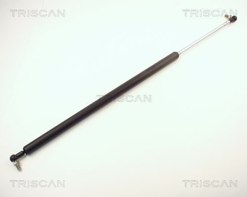 Dujinė spyruoklė, bagažinė TRISCAN 8710 14201