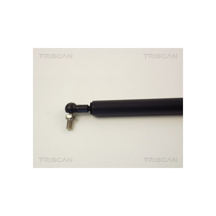 Dujinė spyruoklė, bagažinė TRISCAN 8710 14201