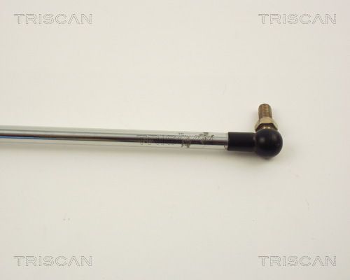 Dujinė spyruoklė, bagažinė TRISCAN 8710 14201