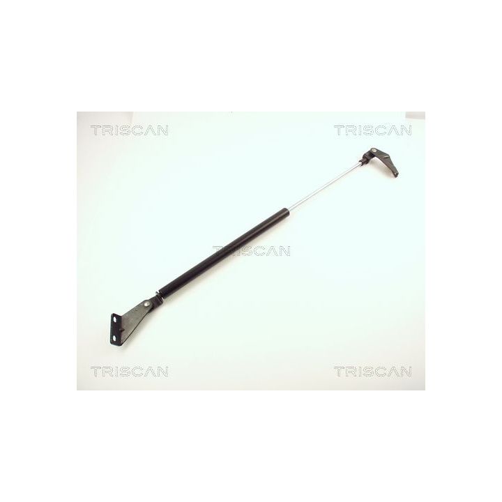 Dujinė spyruoklė, bagažinė TRISCAN 8710 14218