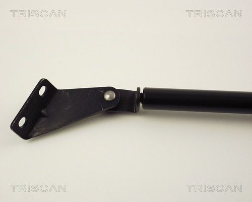 Dujinė spyruoklė, bagažinė TRISCAN 8710 14218