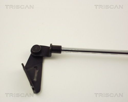 Dujinė spyruoklė, bagažinė TRISCAN 8710 14218