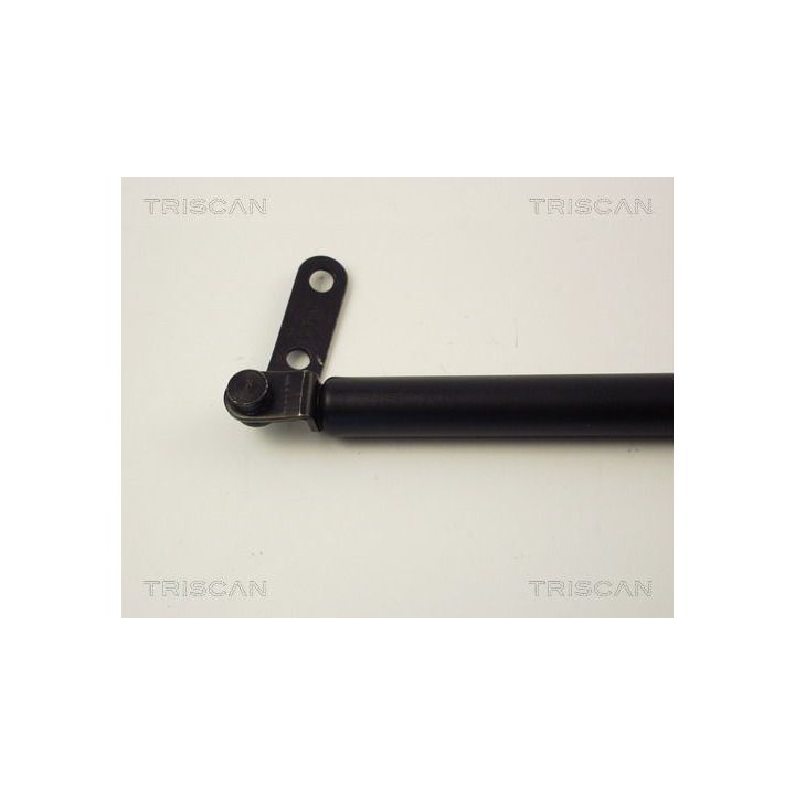 Dujinė spyruoklė, bagažinė TRISCAN 8710 14219