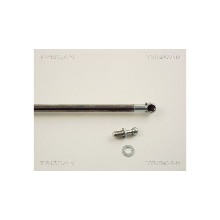 Dujinė spyruoklė, bagažinė TRISCAN 8710 14219