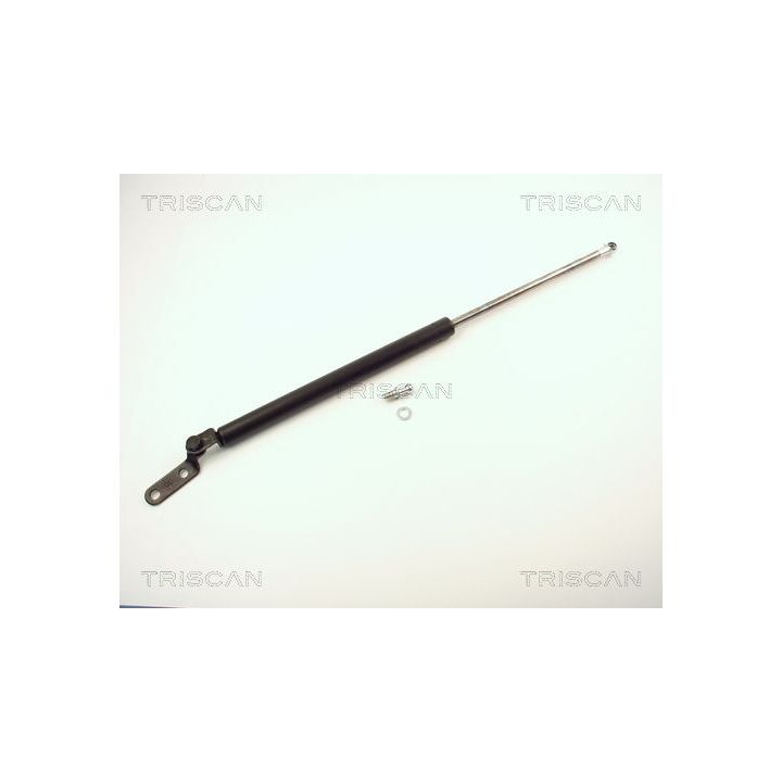 Dujinė spyruoklė, bagažinė TRISCAN 8710 14220