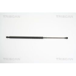 Dujinė spyruoklė, bagažinė TRISCAN 8710 14244
