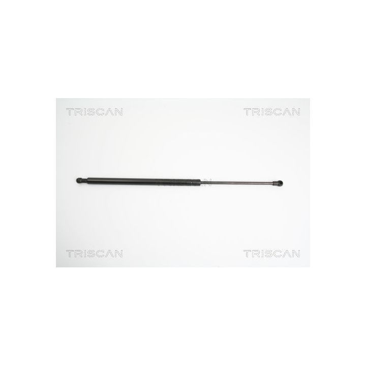 Dujinė spyruoklė, bagažinė TRISCAN 8710 14244