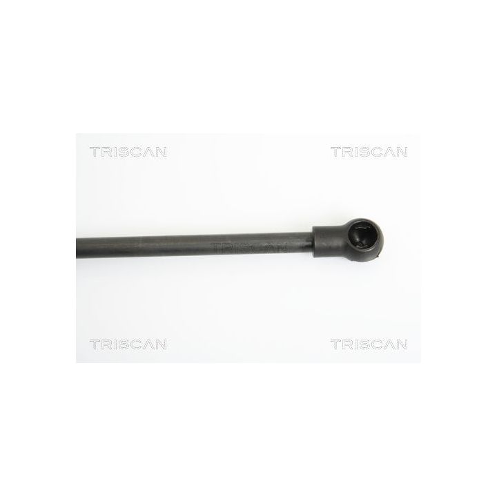 Dujinė spyruoklė, bagažinė TRISCAN 8710 14244