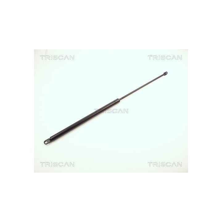 Dujinė spyruoklė, bagažinė TRISCAN 8710 1504