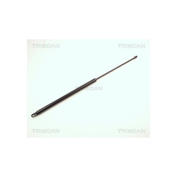 Dujinė spyruoklė, bagažinė TRISCAN 8710 1506