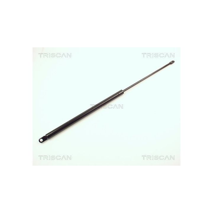 Dujinė spyruoklė, bagažinė TRISCAN 8710 1507