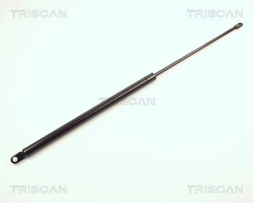 Dujinė spyruoklė, bagažinė TRISCAN 8710 1507