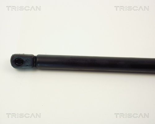 Dujinė spyruoklė, bagažinė TRISCAN 8710 1516
