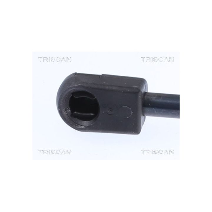 Dujinė spyruoklė, bagažinė TRISCAN 8710 15204