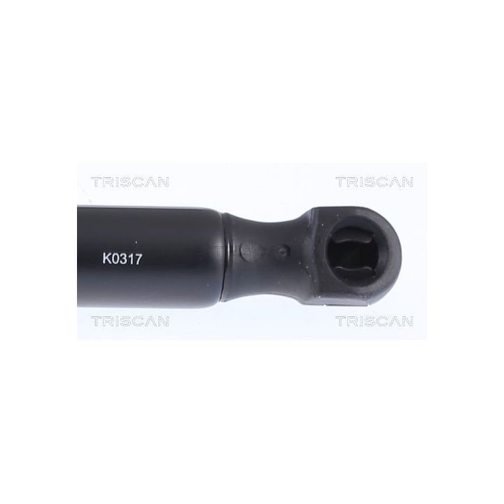 Dujinė spyruoklė, bagažinė TRISCAN 8710 15204