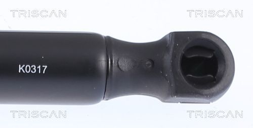 Dujinė spyruoklė, bagažinė TRISCAN 8710 15204