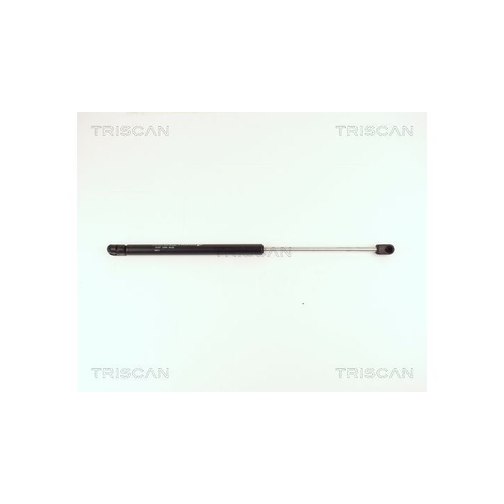 Dujinė spyruoklė, bagažinė TRISCAN 8710 15207