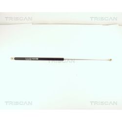 Dujinė spyruoklė, bagažinė TRISCAN 8710 15210