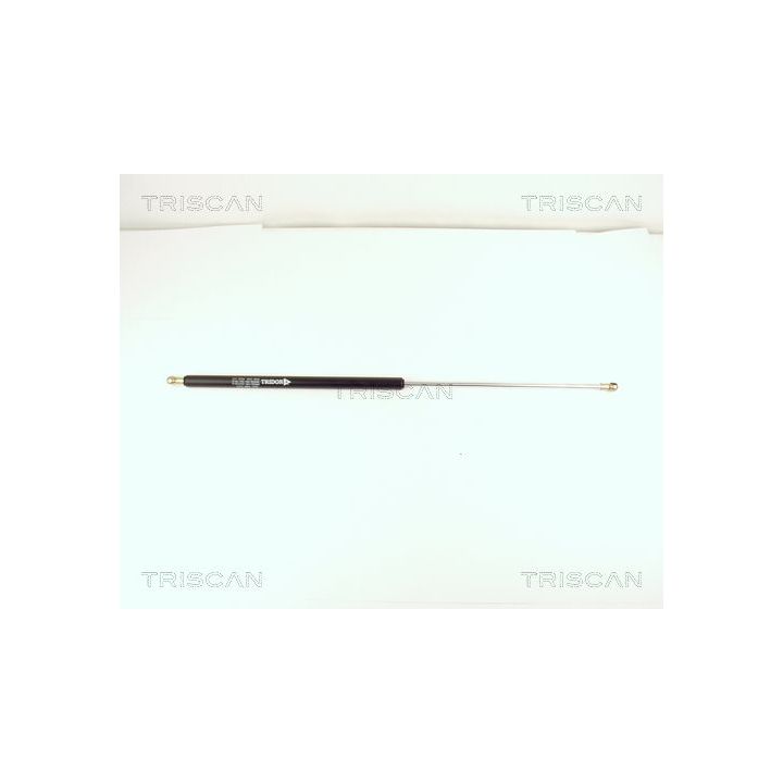 Dujinė spyruoklė, bagažinė TRISCAN 8710 15210