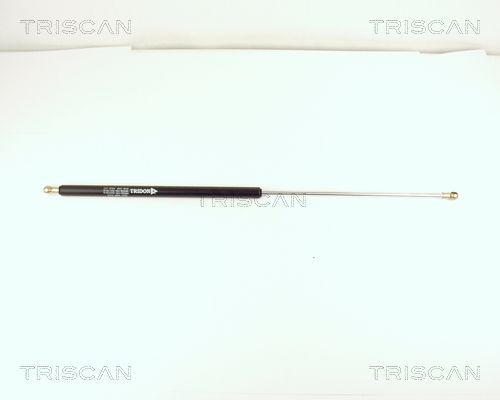 Dujinė spyruoklė, bagažinė TRISCAN 8710 15210