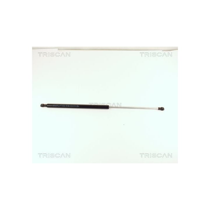 Dujinė spyruoklė, bagažinė TRISCAN 8710 15213