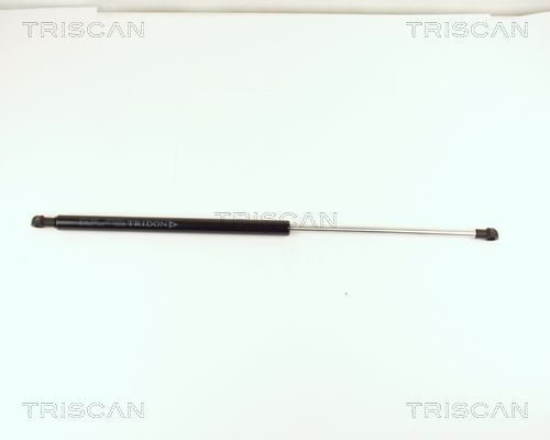 Dujinė spyruoklė, bagažinė TRISCAN 8710 15213