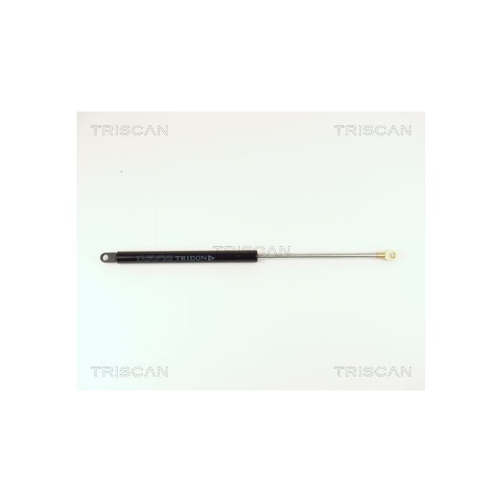 Dujinė spyruoklė, bagažinė TRISCAN 8710 15214