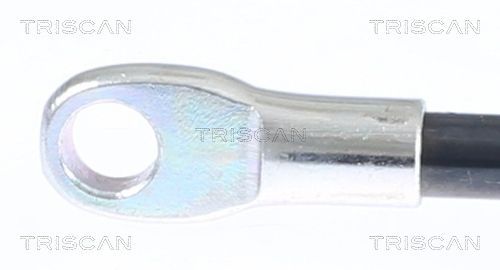 Dujinė spyruoklė, bagažinė TRISCAN 8710 15216