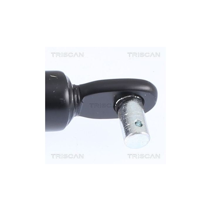 Dujinė spyruoklė, bagažinė TRISCAN 8710 15216