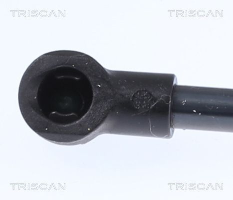 Dujinė spyruoklė, bagažinė TRISCAN 8710 15217