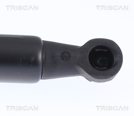 Dujinė spyruoklė, bagažinė TRISCAN 8710 15217