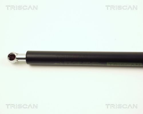 Dujinė spyruoklė, bagažinė TRISCAN 8710 15222