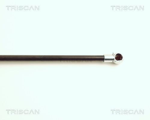 Dujinė spyruoklė, bagažinė TRISCAN 8710 15222