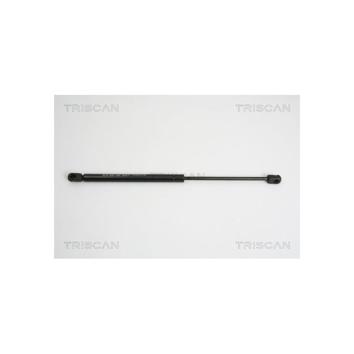 Dujinė spyruoklė, bagažinė TRISCAN 8710 15223