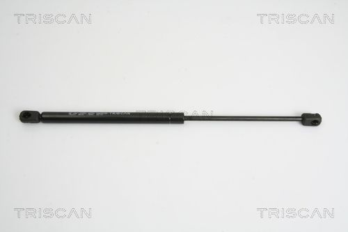 Dujinė spyruoklė, bagažinė TRISCAN 8710 15223