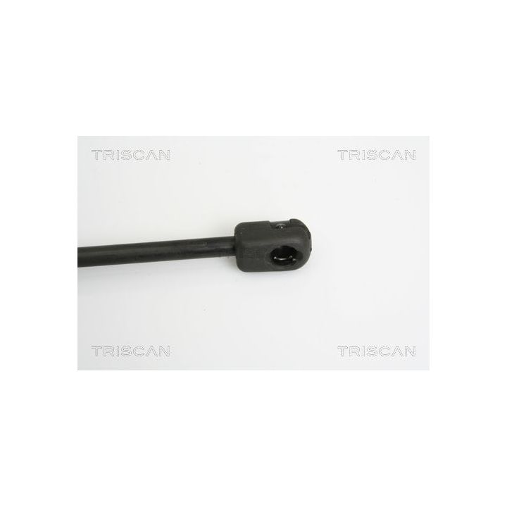 Dujinė spyruoklė, bagažinė TRISCAN 8710 15223