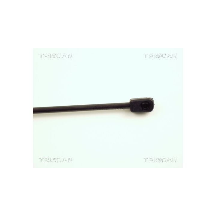 Dujinė spyruoklė, bagažinė TRISCAN 8710 15225