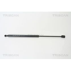 Dujinė spyruoklė, bagažinė TRISCAN 8710 15227