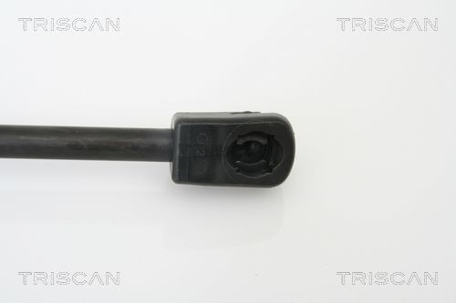 Dujinė spyruoklė, bagažinė TRISCAN 8710 15227