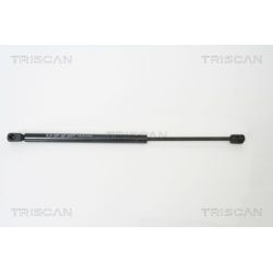 Dujinė spyruoklė, bagažinė TRISCAN 8710 15228