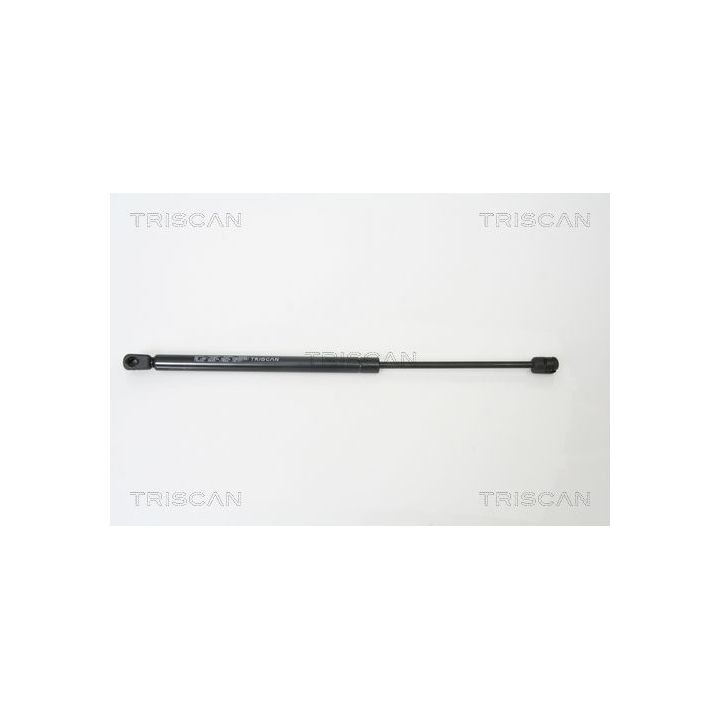 Dujinė spyruoklė, bagažinė TRISCAN 8710 15228