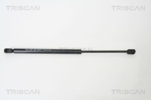 Dujinė spyruoklė, bagažinė TRISCAN 8710 15228