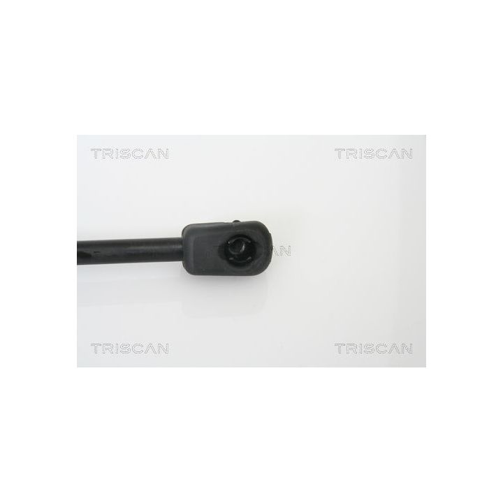 Dujinė spyruoklė, bagažinė TRISCAN 8710 15228