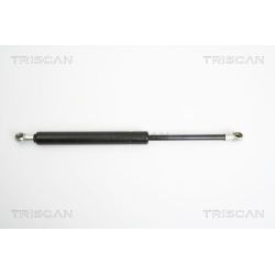 Dujinė spyruoklė, bagažinė TRISCAN 8710 15230