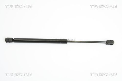 Dujinė spyruoklė, bagažinė TRISCAN 8710 15231
